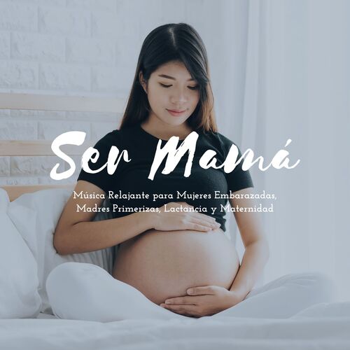 Embarazo Feliz cover art