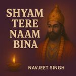 Shyam Tere Naam Bina