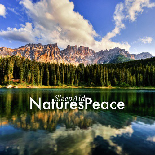 Sleep Aid: Nature&#039;s Peace_poster_image