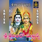 Srisailavasa mallanna niku vela vela pujalu Akunuri Devayya artwork