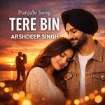 TERE BIN
