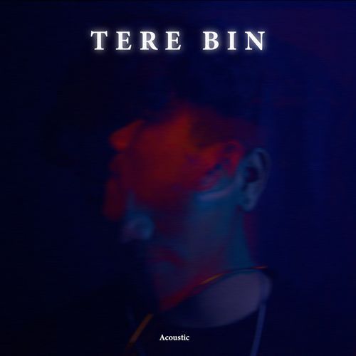 Tere Bin (Acoustic)_poster_image