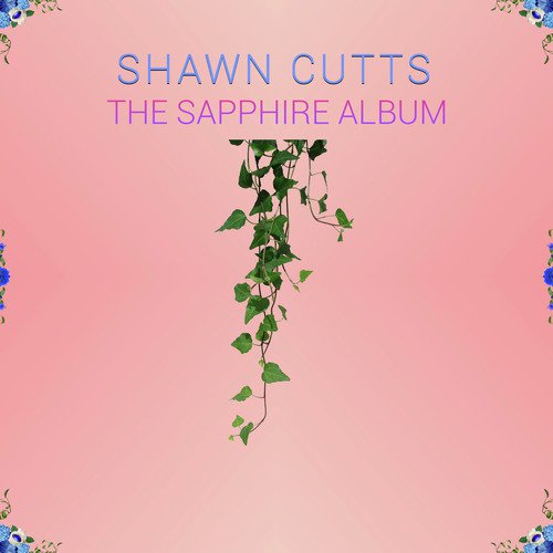 Sizzle cover art