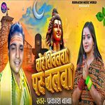 Tor Shivalava Par Jalava