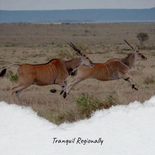 Tranquil Regionally cover art