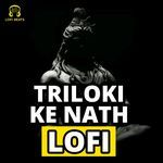 Triloki Ke Nath LoFi