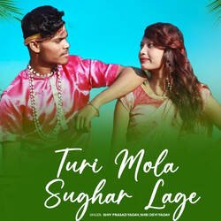 Turi Mola Sughar Lage-JC8TAB90Dks