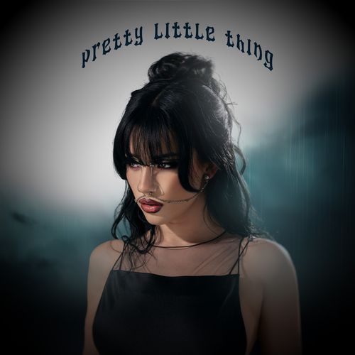 pretty little thing_poster_image