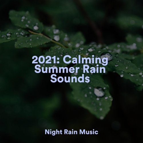 Rain, Storm and Thunder cover art