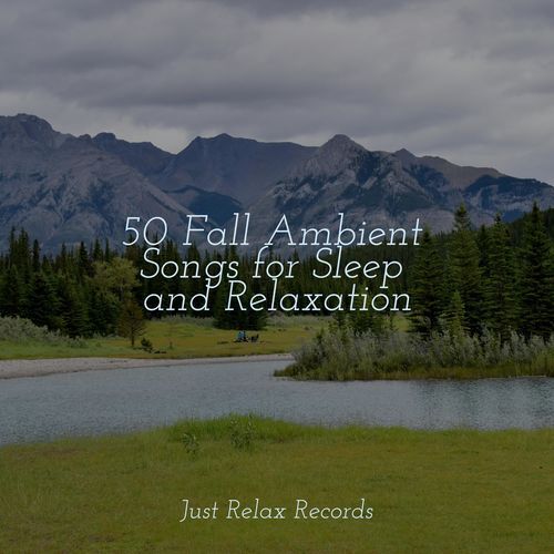 50 Fall Ambient Songs for Sleep and Relaxation