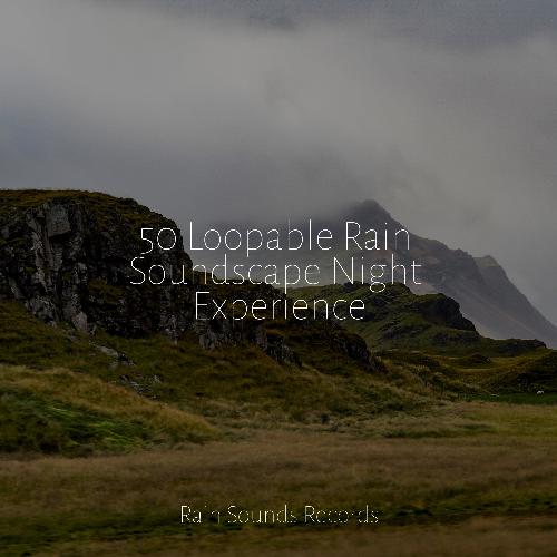 50 Loopable Rain Soundscape Night Experience