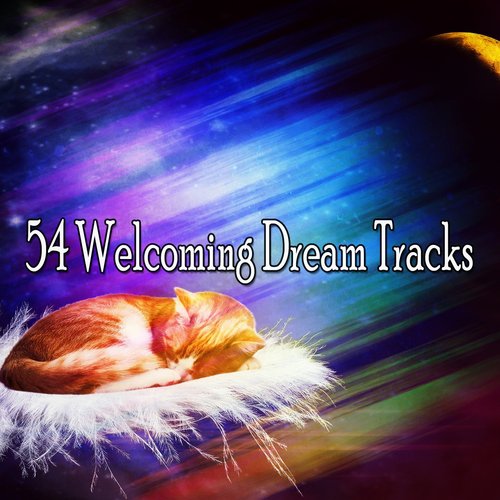 54 Welcoming Dream Tracks