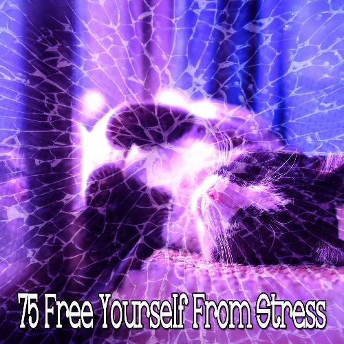 75 Free Yourself from Stress