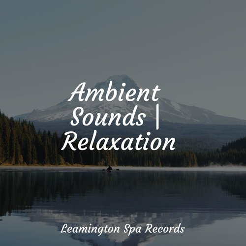 Meditating Music cover art