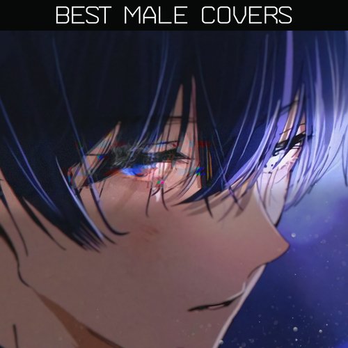 Best Male Covers, Vol. 1_poster_image