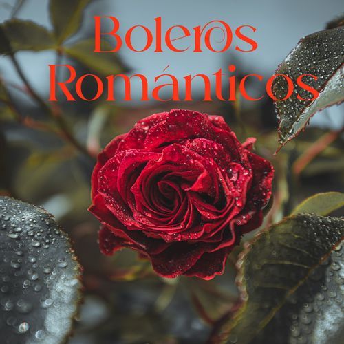 Boleros Románticos