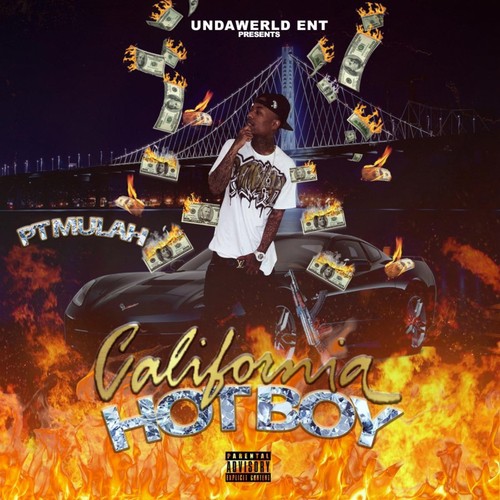 Mulah over Bitches cover art