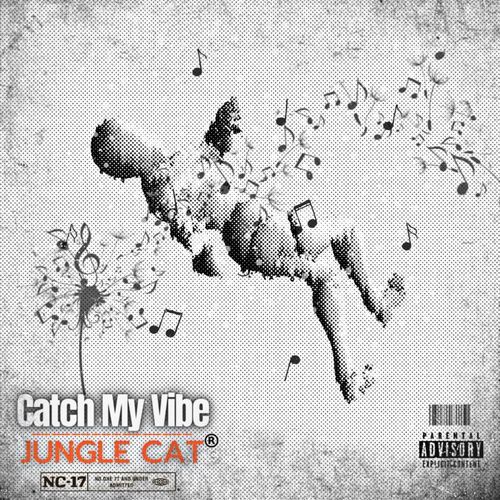 Catch My Vibe cover art