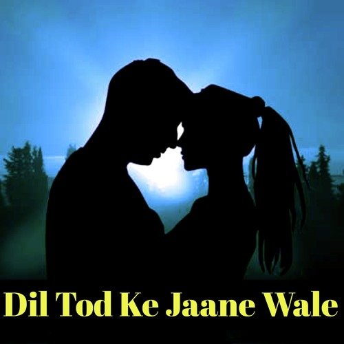 Dil Tod Ke Jaane Wale