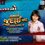 Gamto Judaina Amne Malya Chhe