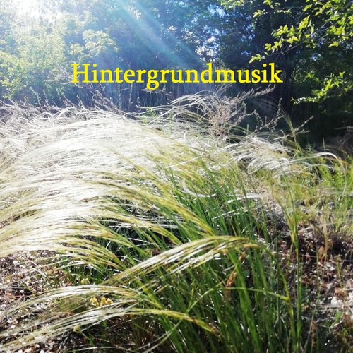 Hintergrundmusik