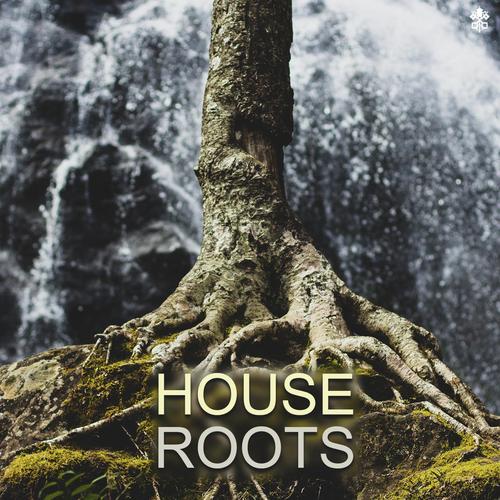 House Roots_poster_image