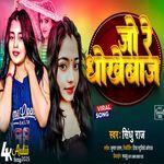 Jo Re Dhokhebaz