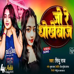 Jo Re Dhokhebaz