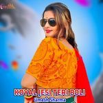 KOYAL JESI TERI BOLI