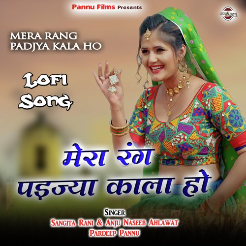 Mera Rang Padjya Kala Ho - Lofi Song