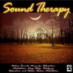 Nature Sounds Music for Relaxation, Meditation, Deep Sleep, Studying, Relaxation and Tibetan Chakra Meditation