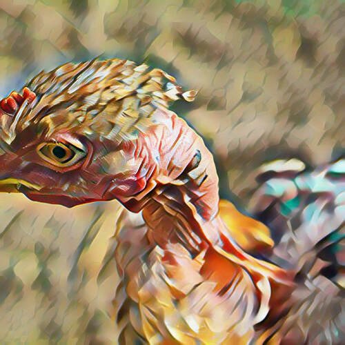 Moisturize Pogonotrophy