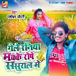 Raniya Makke Bheche Gele Sasural Me