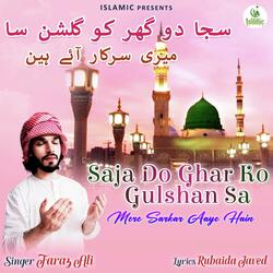 Mere Sarkar Aaye Hain