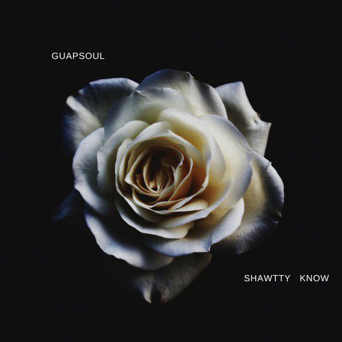 Shawtty Know cover art