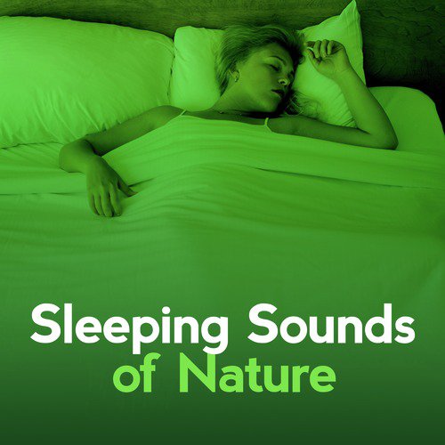 Sleeping Sounds of Nature
