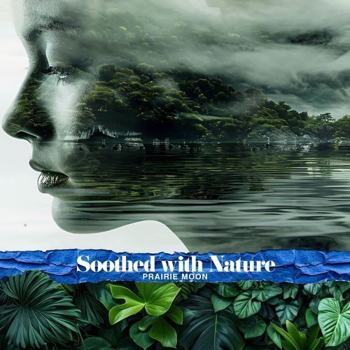 Binaural Nature Tone cover art