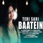 Teri Sari Baatein