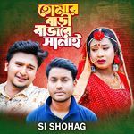 Tomar Baari Bajbe shanai artwork