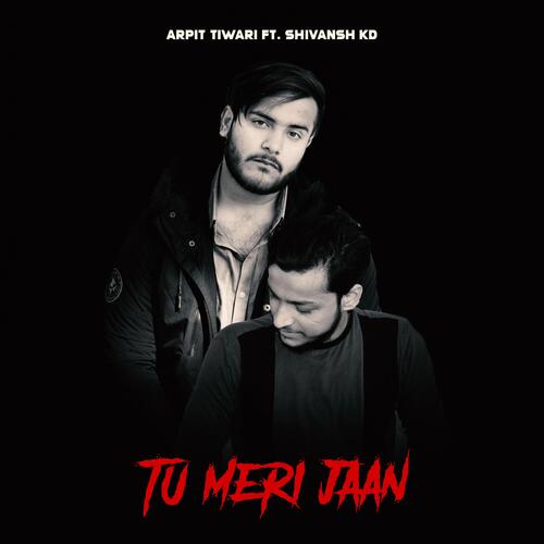 Tu Meri Jaan_poster_image