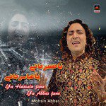 Ali Nu Man Peer Sohnaya