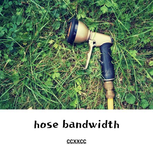 beastie crewmate cover art