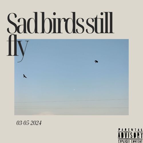 sad birds still fly