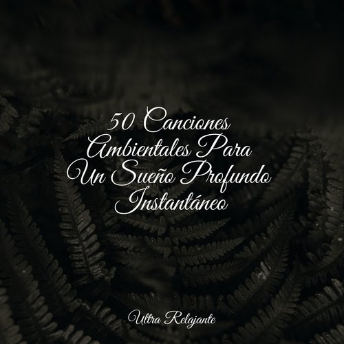 50 Canciones Ambientales Para Un Sueño Profundo Instantáneo