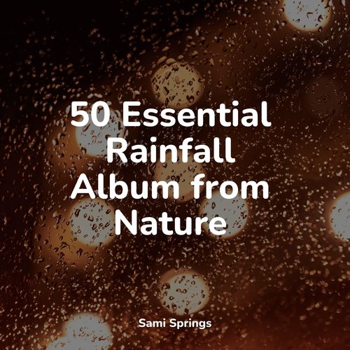 50 Essential Rainfall Album from Nature_poster_image