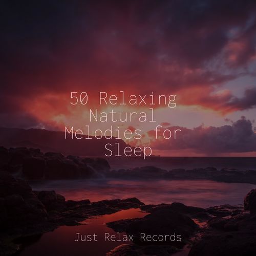 50 Relaxing Natural Melodies for Sleep