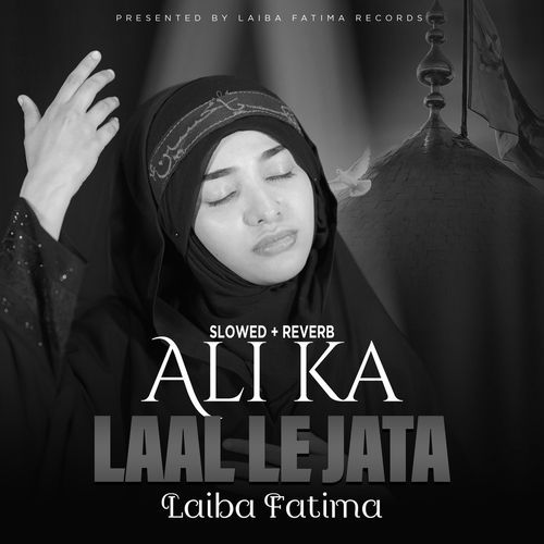 Ali Ka Laal Le Jata Lofi Version