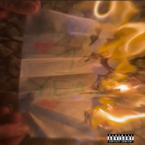 BVD cover art