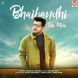 Bhaibandhi Tari Mari (feat. Shyam Sidhawat, Harry Ahir, Hiren Patel)-IRglQgZ8Xng