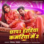 Chhapa Hardiya Kamariya Me 2